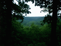 Old Trace Drive Overlook, Natchez Trace, Hohenwald, TN
