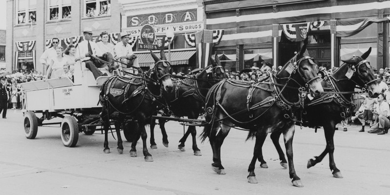 A wagon pulled by four mules.