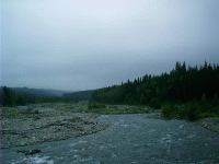 Swiftcurrent Creek, Glacier Park